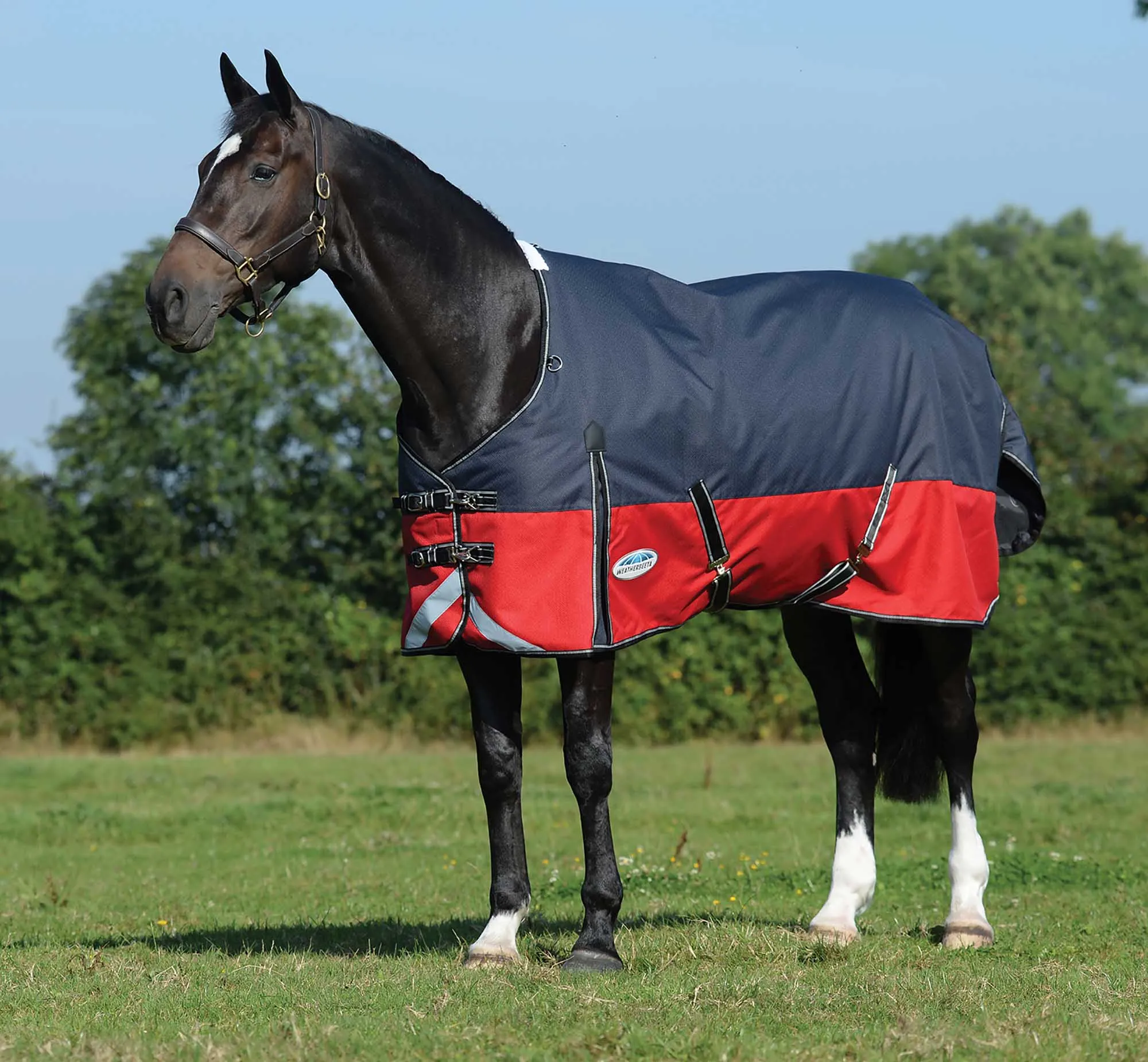 ComFITec Plus Dynamic II Standard Neck Medium Horse Blanket