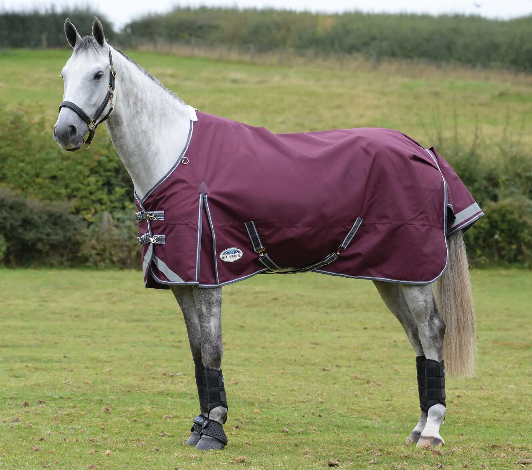 ComFITec Plus Dynamic II Standard Neck Medium Horse Blanket